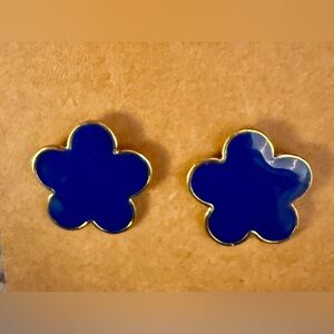 Bright blue, beautiful flower shaped studs
